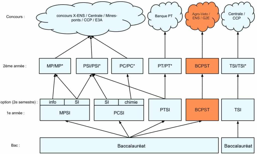 organigramme parcours enseignement supérieur français