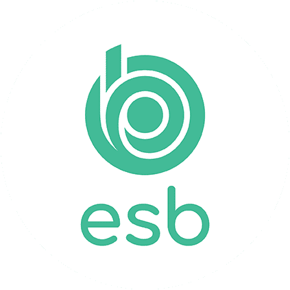 logo de l'école d'ingénieurs ESB Nantes