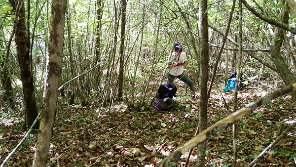 témoignages ingénieurs métiers biodiversité forestière