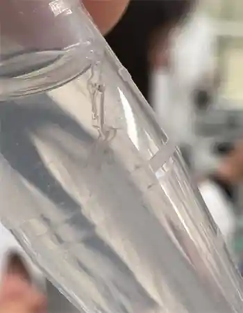 témoignage ADN PCR